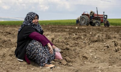 Tarımsal girdi enflasyonu eylülde arttı